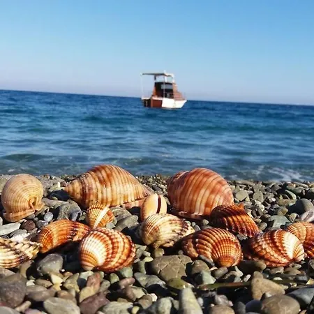 度假居 πανόραμα, πραγματευτή λεωνιδίου, τ.κ.22300 利昂尼迪翁