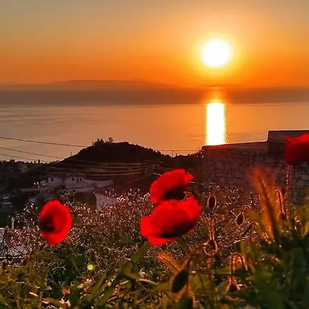 πανόραμα, πραγματευτή λεωνιδίου, τ.κ.22300 *