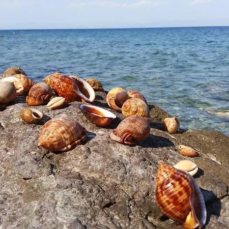 πανόραμα, πραγματευτή λεωνιδίου, τ.κ.22300 Дом отдыха Леонидион