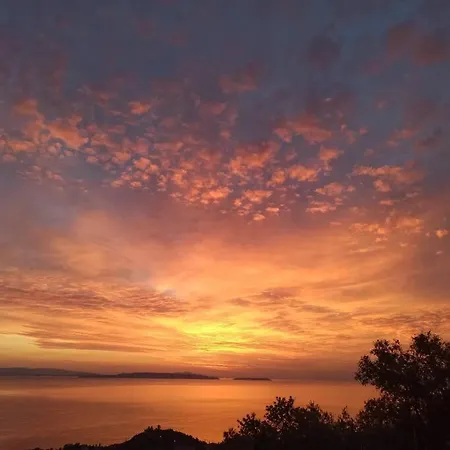 πανόραμα, πραγματευτή λεωνιδίου, τ.κ.22300 * ليونِذيو