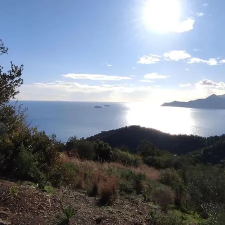 πανόραμα, πραγματευτή λεωνιδίου, τ.κ.22300 *