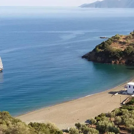 πανόραμα, πραγματευτή λεωνιδίου, τ.κ.22300 * Леонидион