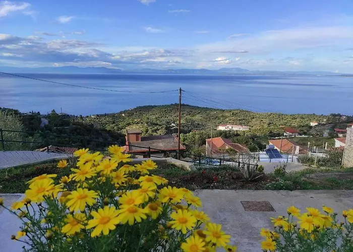 πανόραμα, πραγματευτή λεωνιδίου, τ.κ.22300 *