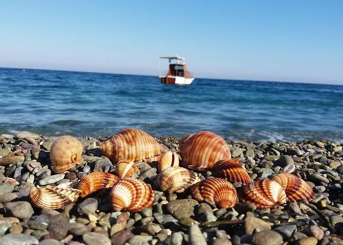 Vakantiehuis πανόραμα, πραγματευτή λεωνιδίου, τ.κ.22300 Leonídion