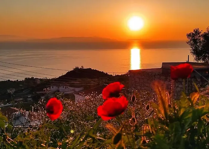 πανόραμα, πραγματευτή λεωνιδίου, τ.κ.22300 *