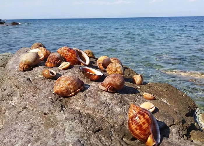 πανόραμα, πραγματευτή λεωνιδίου, τ.κ.22300 Vakantiehuis Leonídion