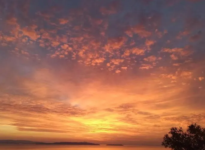 πανόραμα, πραγματευτή λεωνιδίου, τ.κ.22300 * Leonídion