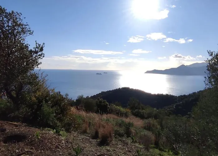 πανόραμα, πραγματευτή λεωνιδίου, τ.κ.22300 *